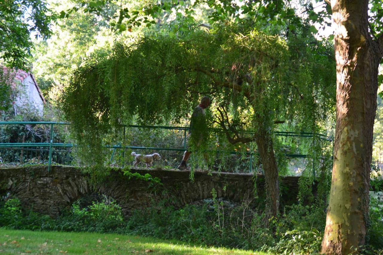 Willa Le Moulin Neuf Beaupréau-en-Mauges Zewnętrze zdjęcie